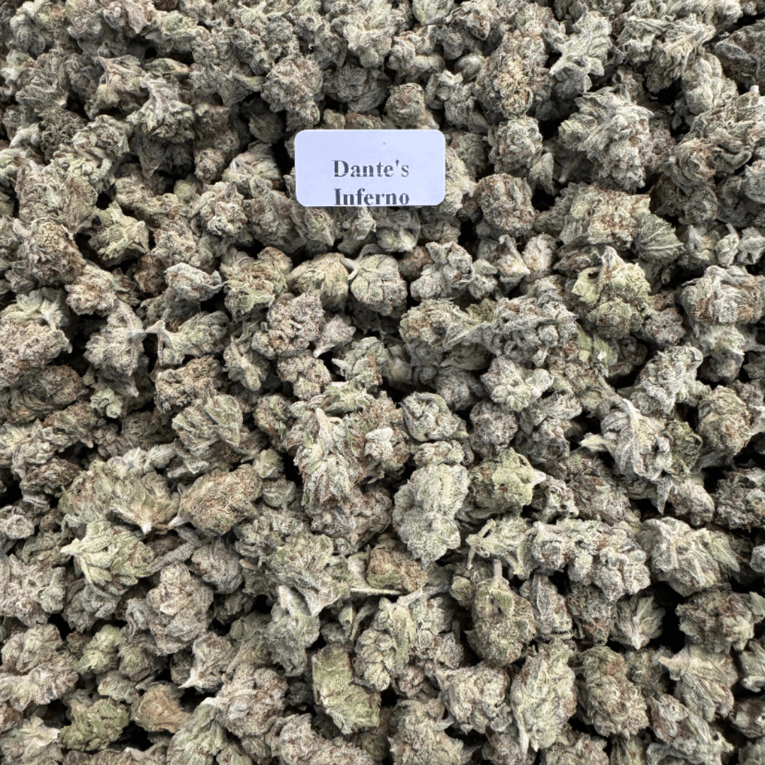 Exotic THCA Smalls – Dante's Inferno, Weight: 28g