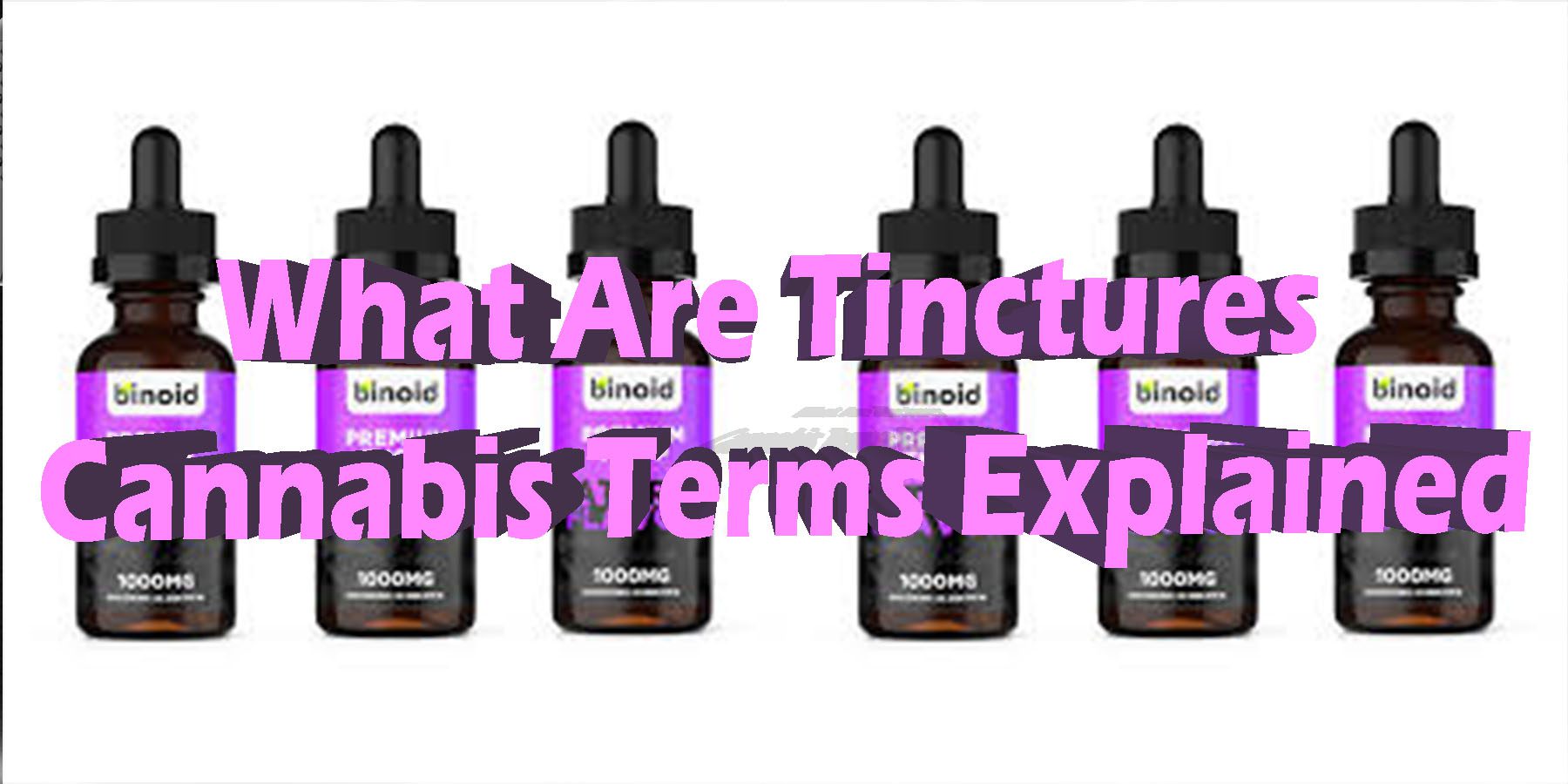 What-Are-Tinctures-Cannabis Terms Explained HowToGetNearMenBestPlace LowestPrice Coupon Discount For Smoking Best Brand D9 D8 THCA Indoor Good Binoid