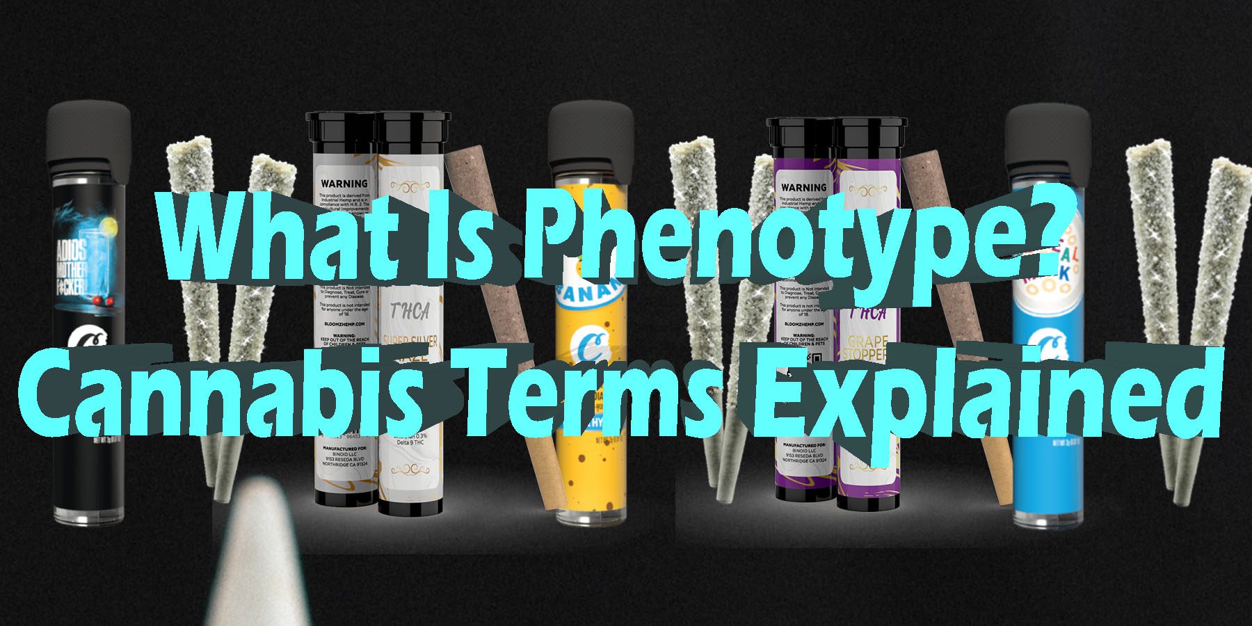 What Is Phenotype Cannabis Terms Explained HowToGetNearMe BestPlace LowestPrice Coupon Discount For SmokingUnder Control Binoid