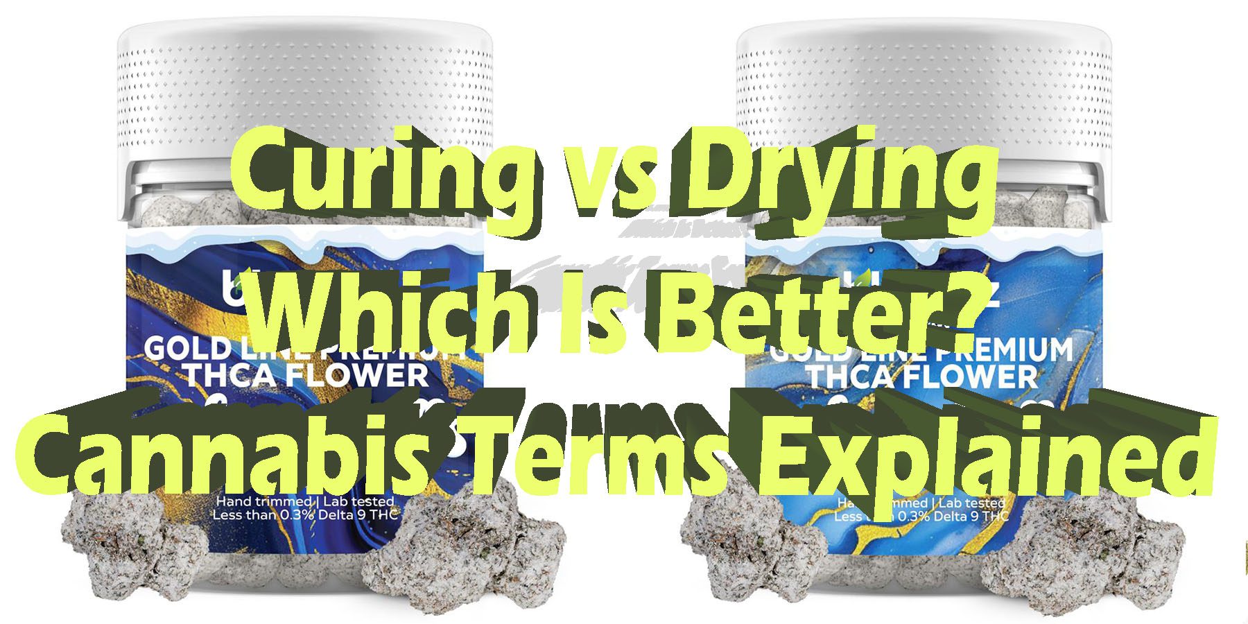 Curing vs Drying Which Is Better Cannabis Terms Explained HowToGetNearMe BestPlace LowestPrice Coupon Discount For Smoking