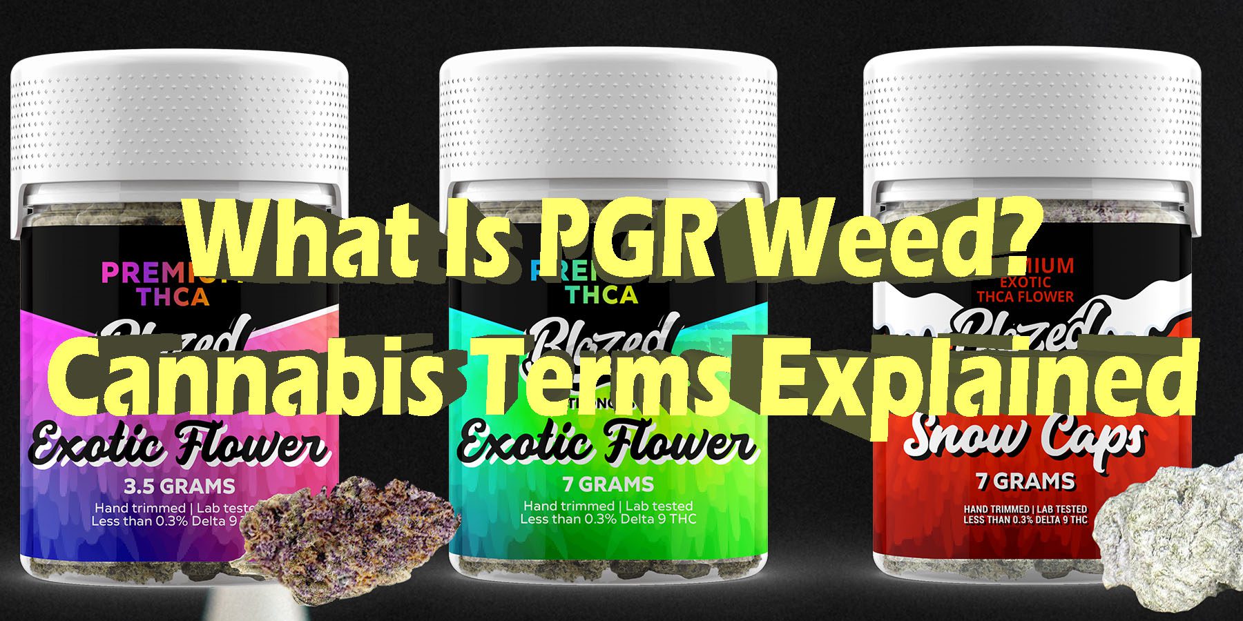 What Is PGR Weed Cannabis Terms Explained HowToGetNearMe BestPlace LowestPrice Coupon Discount For SmokingUnder Control Binoid.