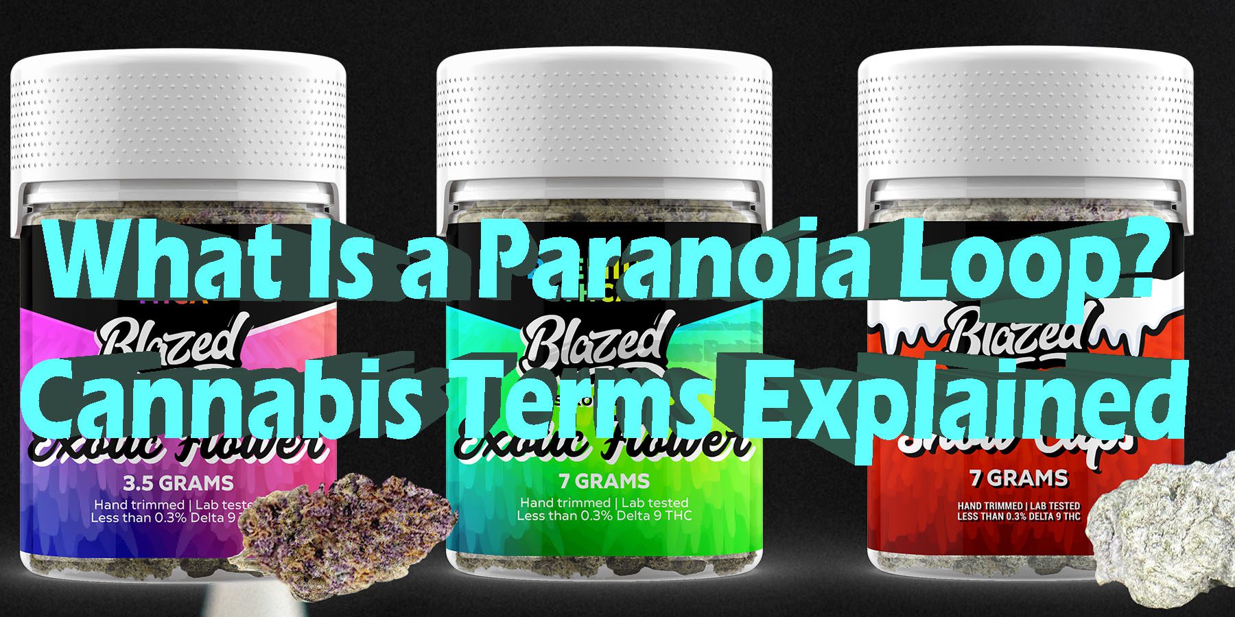 What Is a Paranoia Loop Cannabis Terms Explained HowToGetNearMe BestPlace LowestPrice Coupon Discount For SmokingUnder Control Binoid.