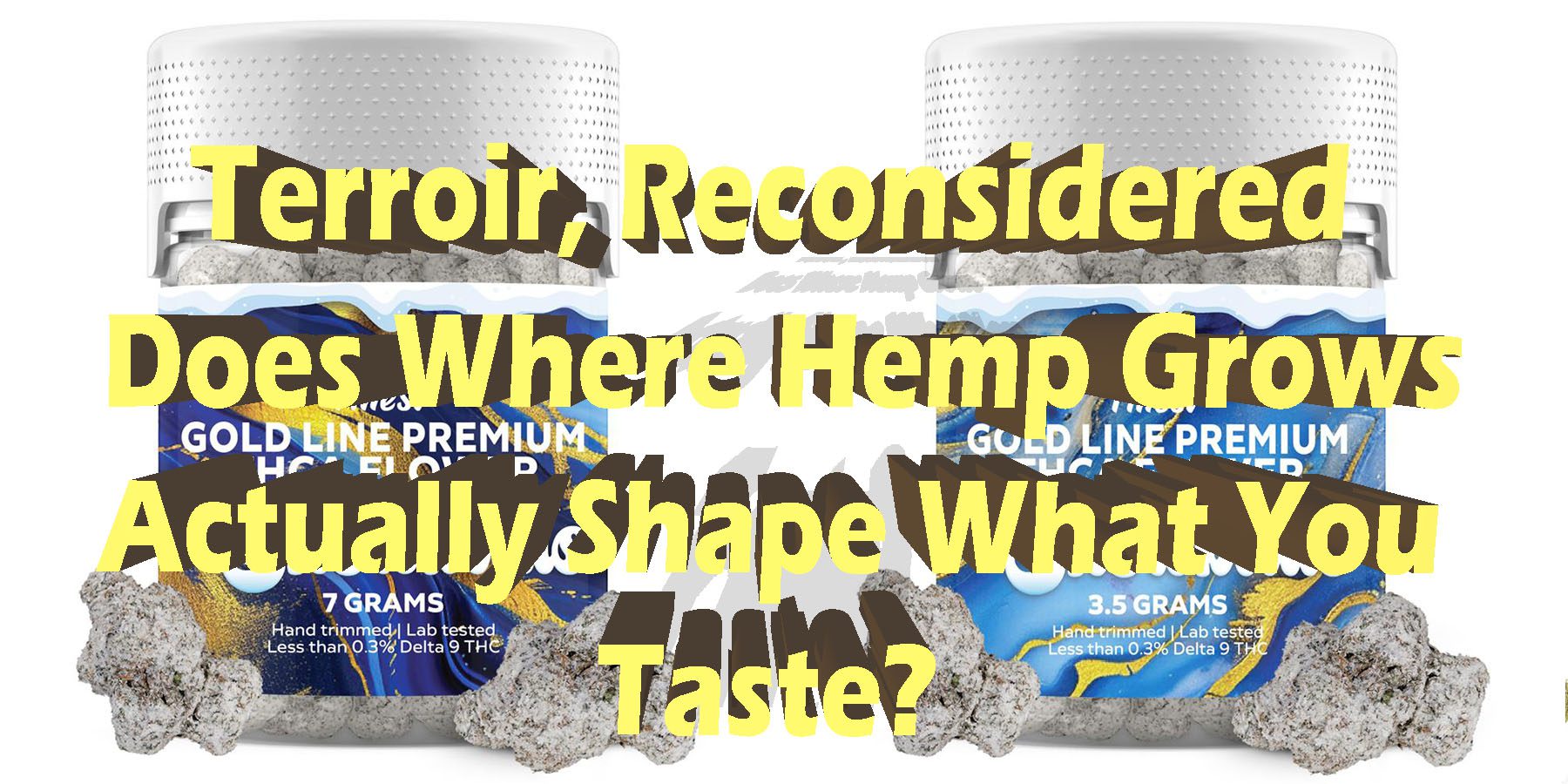 Terroir Reconsidered Does Where Hemp Grows Actually Shape What You Taste